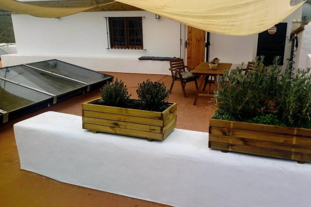 Casita Bioclimatica En El Campo Apartment Arucas Exterior photo